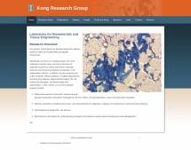 Kong Research Lab screen shot